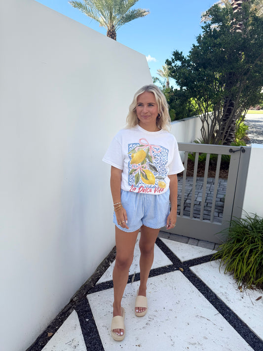 Blue Stripe Shorts